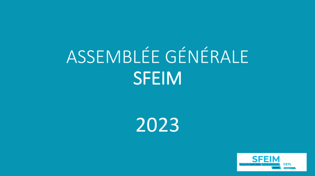 rapport d'activité sfeim reims 2023